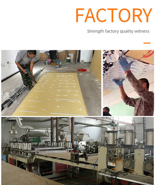 Dongguan Huaxiang Machinery Co., Ltd. manufacturer production line